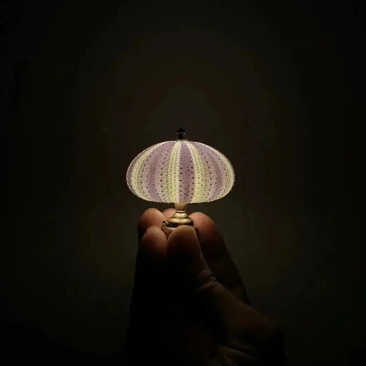 Seeigel-Nachtlicht mit Echter Muschelform und Warmem Licht