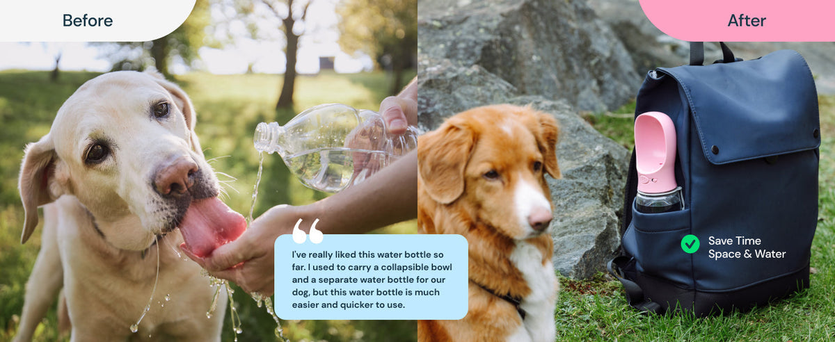 Kompakte Hunde-Trinkflasche mit integriertem Napf