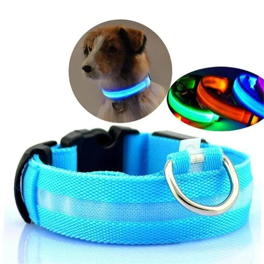 LED-Hundehalsband mit Nylongeflecht