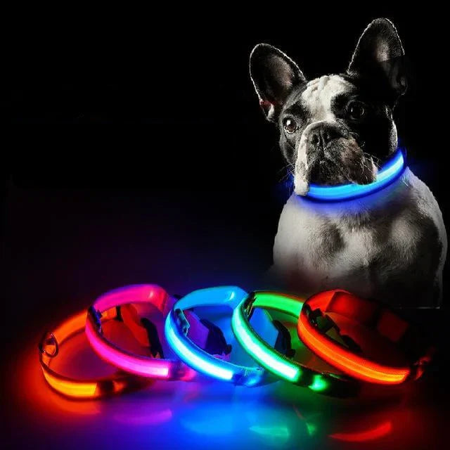 LED-Hundehalsband mit Nylongeflecht
