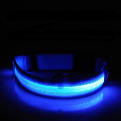 LED-Hundehalsband mit Nylongeflecht