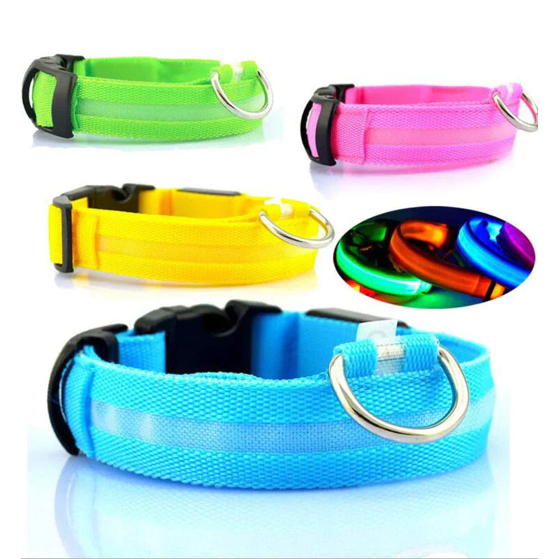 LED-Hundehalsband mit Nylongeflecht