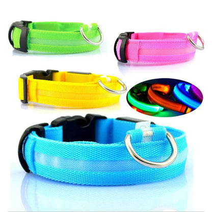 LED-Hundehalsband mit Nylongeflecht