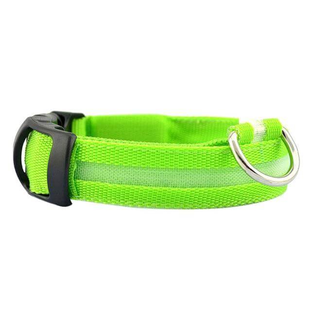 LED-Hundehalsband mit Nylongeflecht