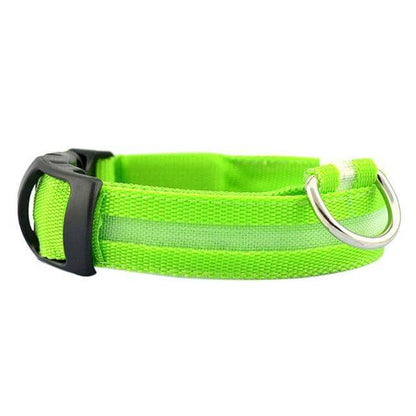 LED-Hundehalsband mit Nylongeflecht