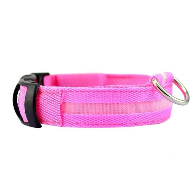 LED-Hundehalsband mit Nylongeflecht