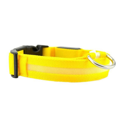 LED-Hundehalsband mit Nylongeflecht