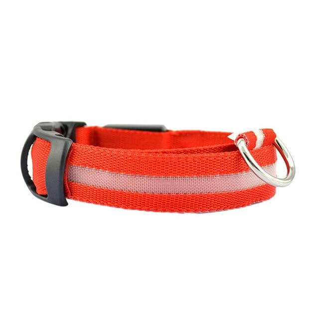 LED-Hundehalsband mit Nylongeflecht