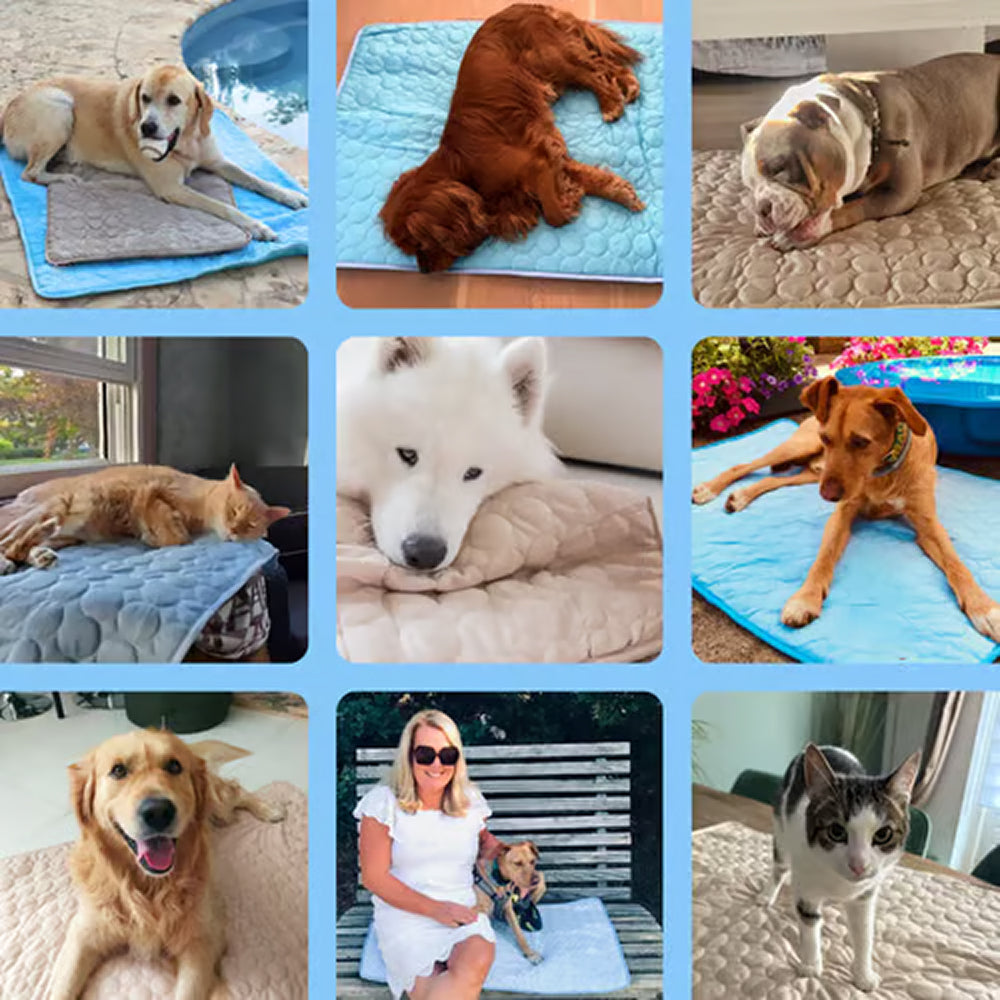 Rechteckige Selbstkühlende Hundematte mit Steppmuster