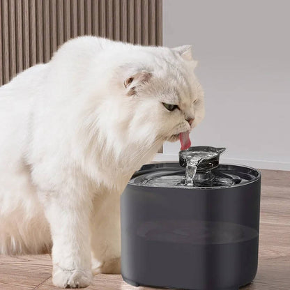 Automatische Stille Katzen-Trinkbrunnen 2,2 l mit Zirkulation