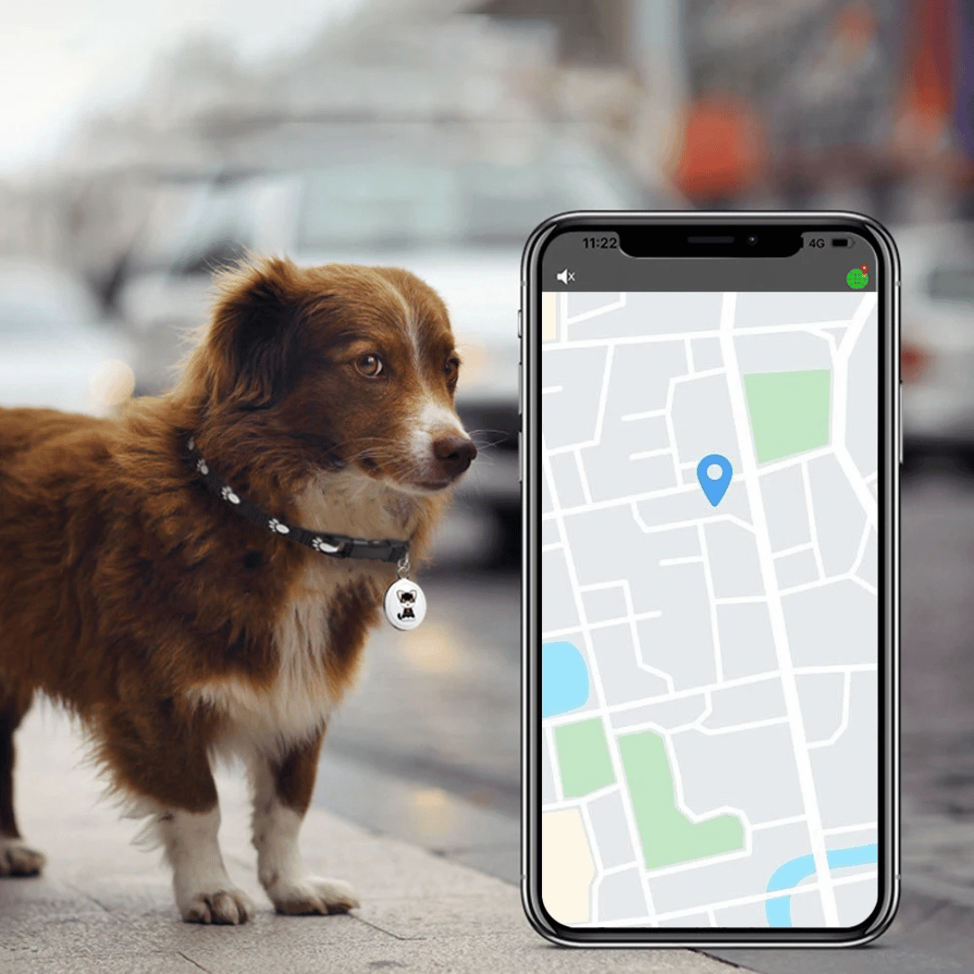 Kompakter Bluetooth-Tracker für Haustiere mit Tonsignal