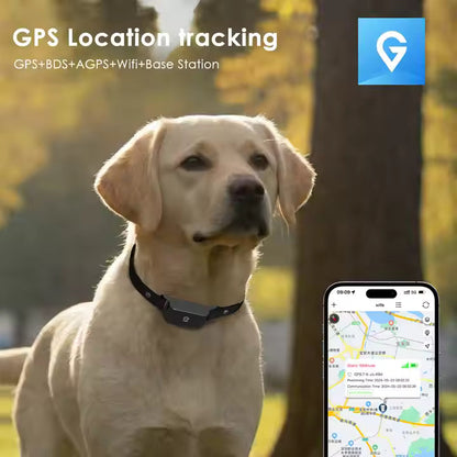 GPS-Tracker-Halsband mit Echtzeit-Ortung