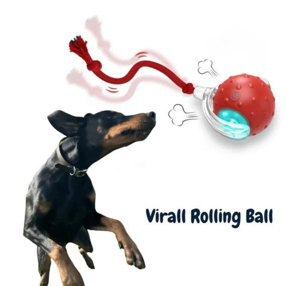 Interaktiver selbstrollender Hundespielball mit Seilschwanz