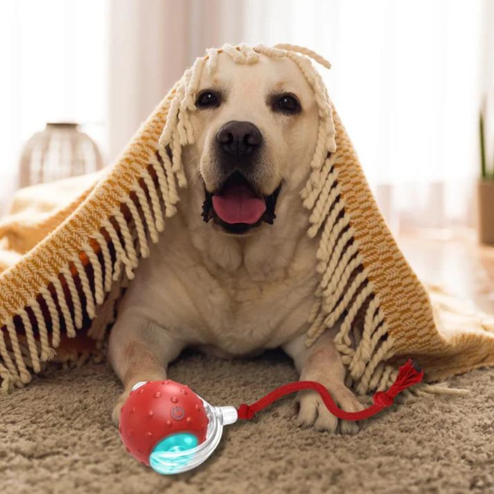 Interaktiver selbstrollender Hundespielball mit Seilschwanz