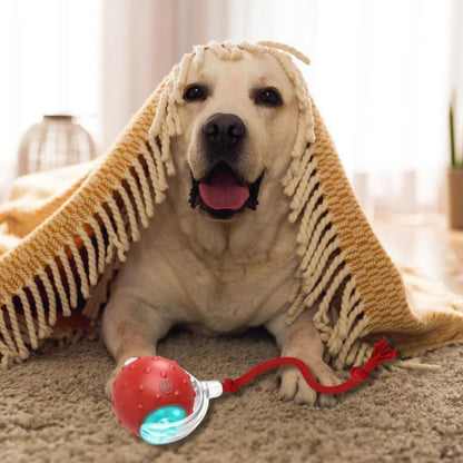 Interaktiver selbstrollender Hundespielball mit Seilschwanz