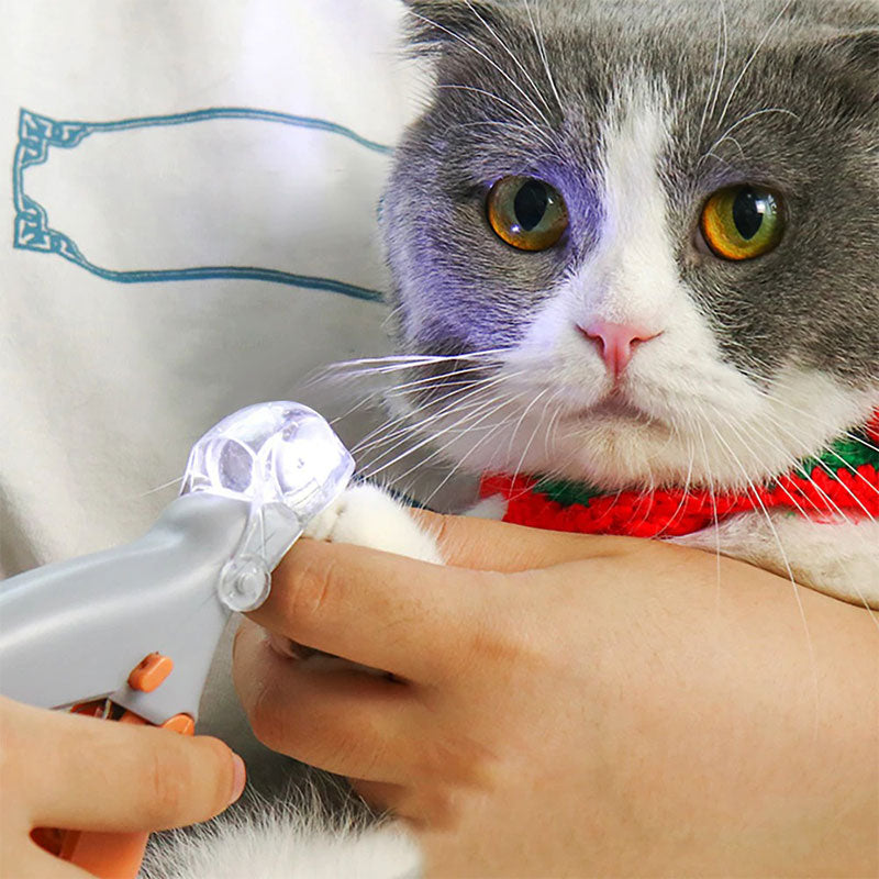 LED-Krallenschere für Hunde und Katzen mit Sicherheitslicht