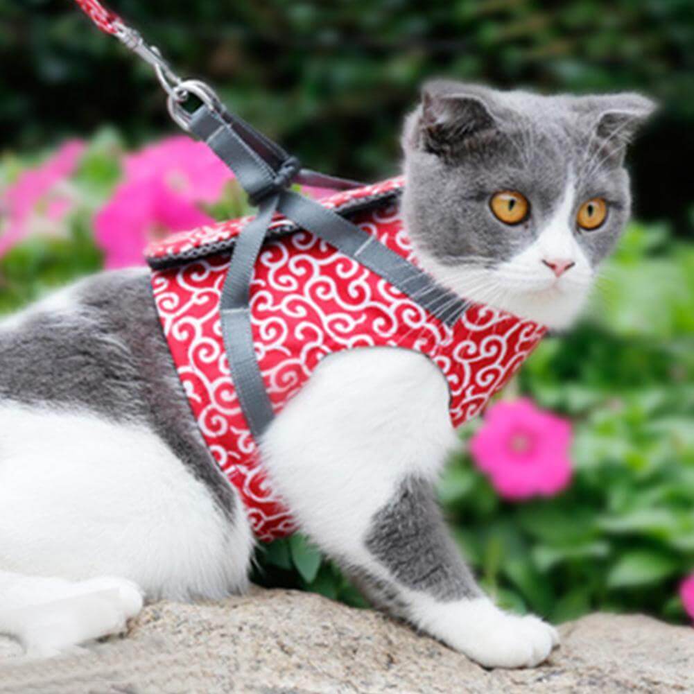 Ausbruchsicheres Katzengeschirr mit Passender Leine