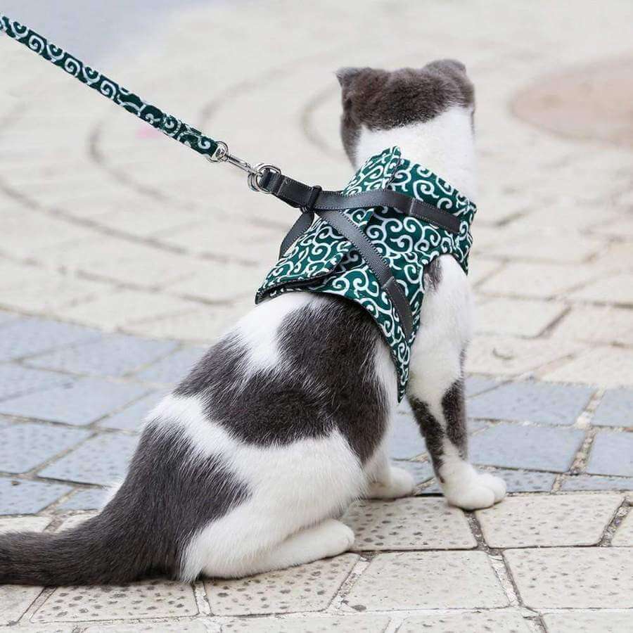 Ausbruchsicheres Katzengeschirr mit Passender Leine