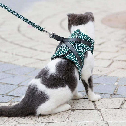 Ausbruchsicheres Katzengeschirr mit Passender Leine