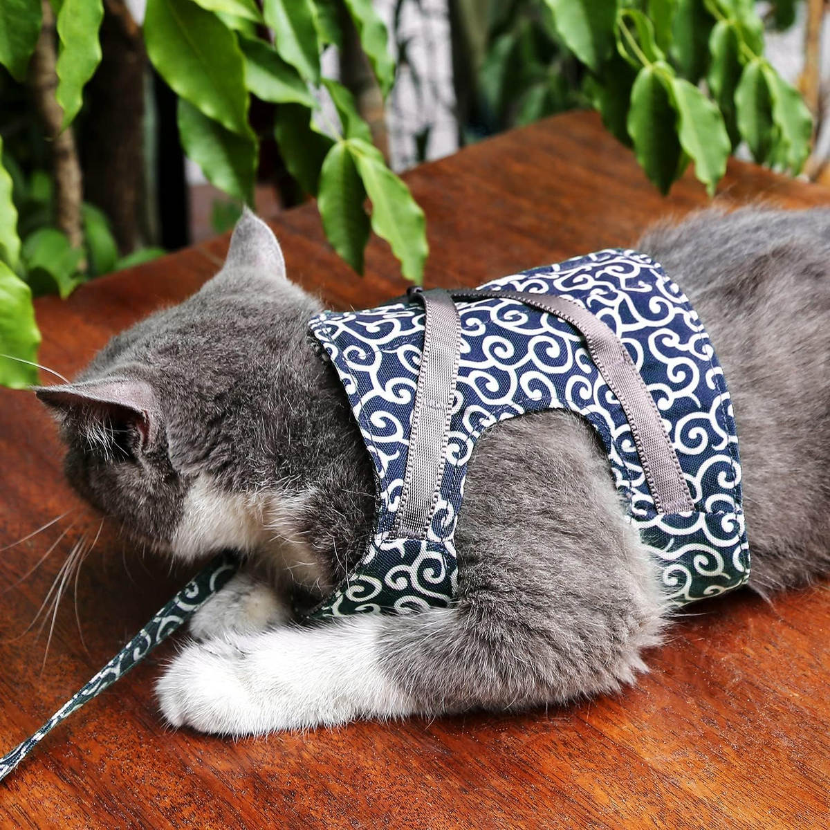 Ausbruchsicheres Katzengeschirr mit Passender Leine