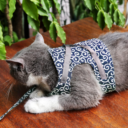 Ausbruchsicheres Katzengeschirr mit Passender Leine