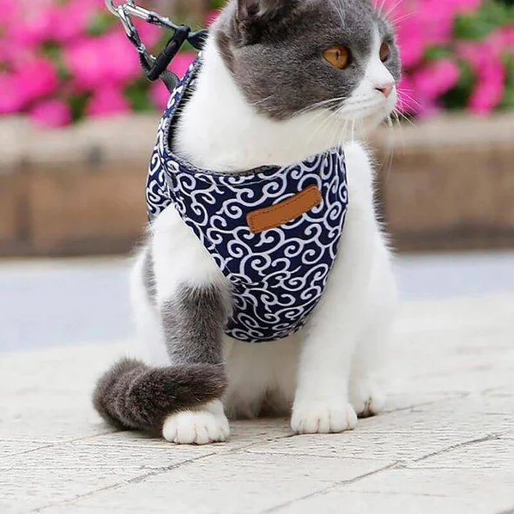 Ausbruchsicheres Katzengeschirr mit Passender Leine