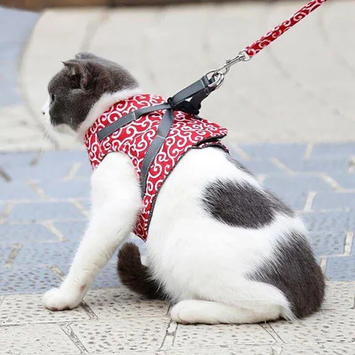 Ausbruchsicheres Katzengeschirr mit Passender Leine