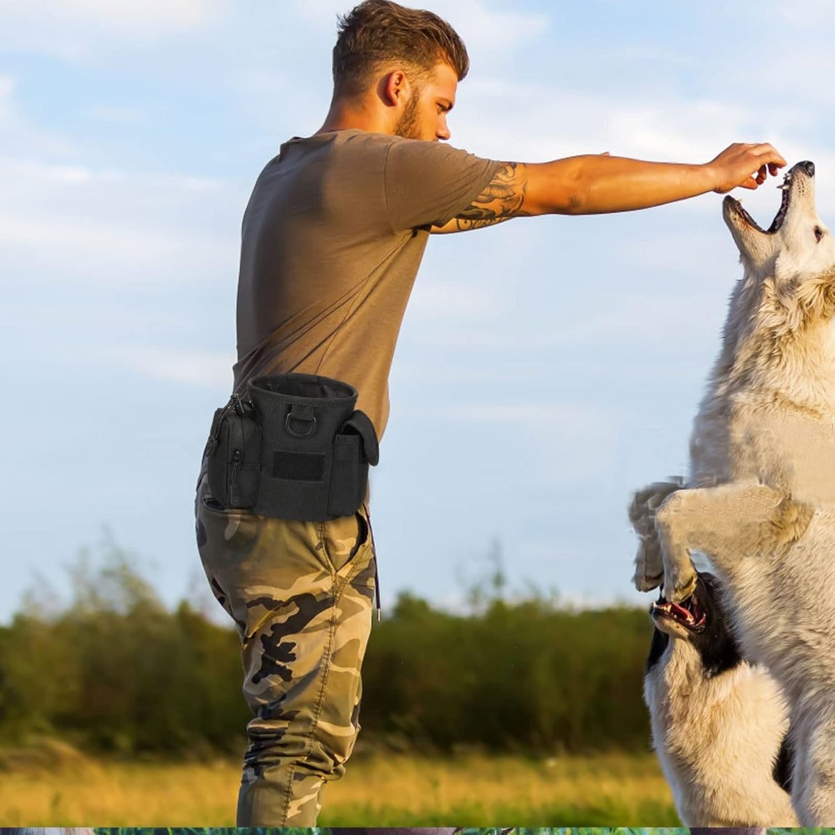 Praktische Bauchtasche für Hundetraining mit Fächern