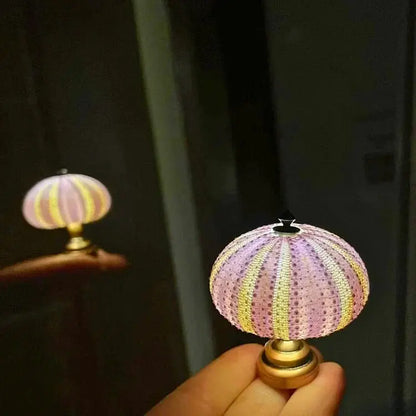 Seeigel-Nachtlicht mit Echter Muschelform und Warmem Licht