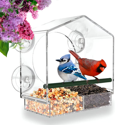 Transparenter Acryl-Vogelfutterkasten mit Saugnäpfen