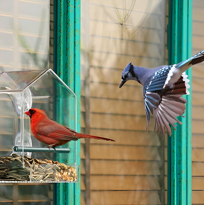 Transparenter Acryl-Vogelfutterkasten mit Saugnäpfen