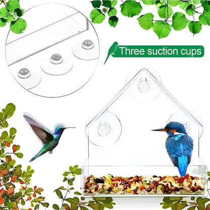 Transparenter Acryl-Vogelfutterkasten mit Saugnäpfen