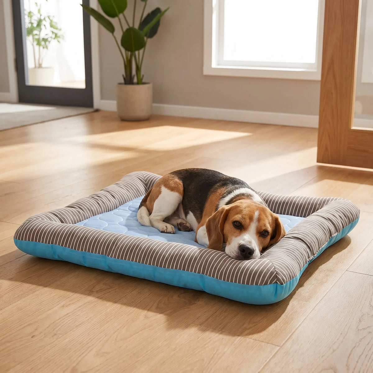 Kühlende Hundematte mit Erhöhtem Rand