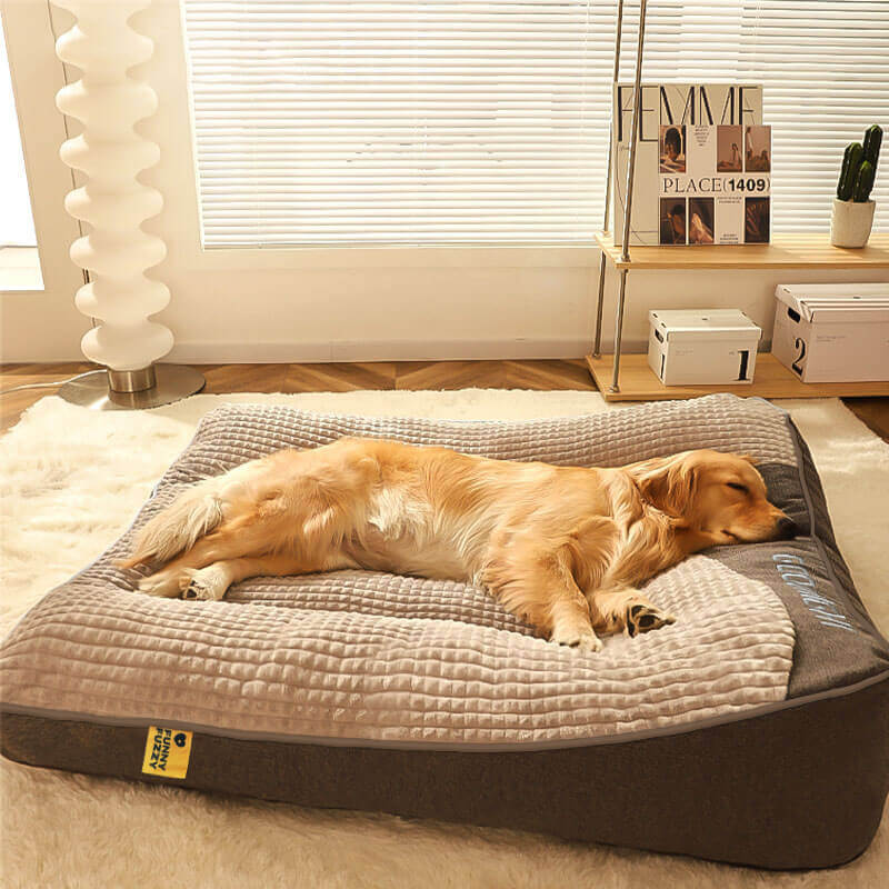 Dickes Hundebett mit Kissen und Bezug