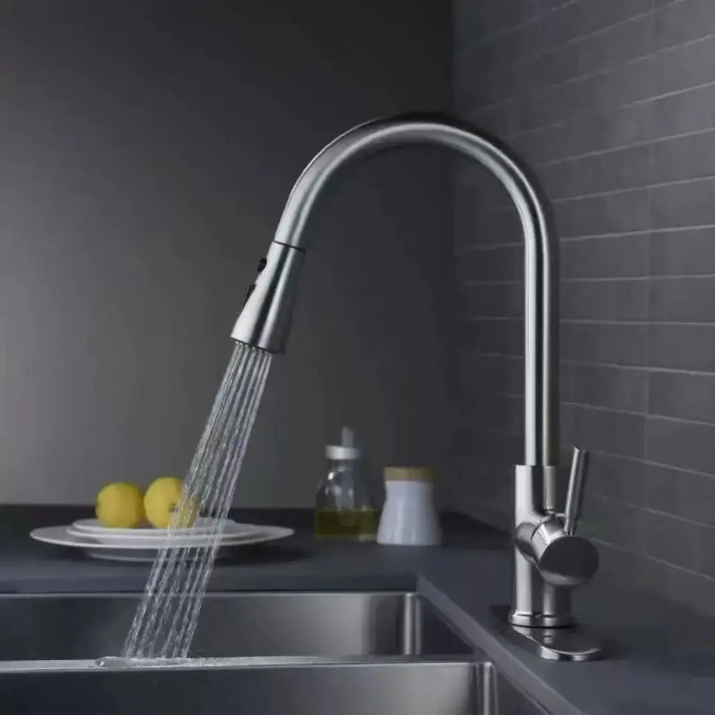 Ausziehbare Küchenarmatur mit Brausefunktion