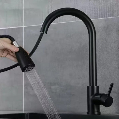 Ausziehbare Küchenarmatur mit Brausefunktion